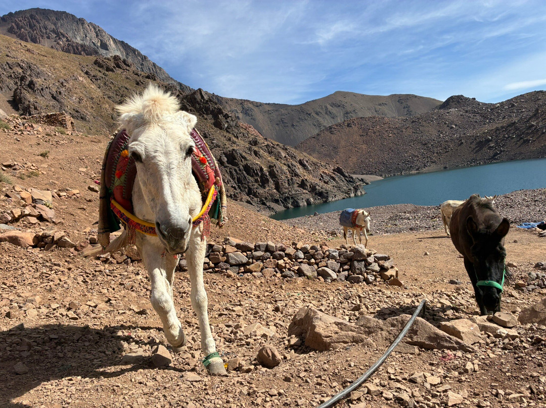 Trekking Holidays Morocco-马拉喀什必去景点