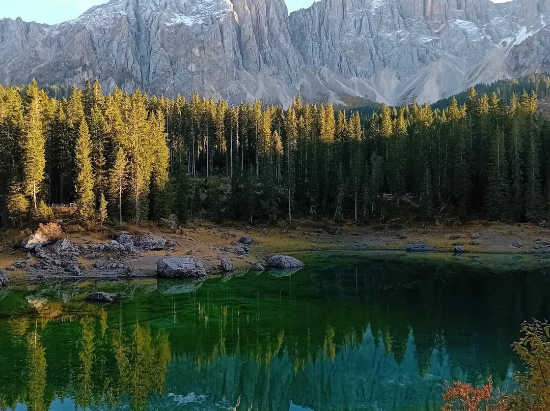 Alpe di Siusi-Alpe di Siusi必去景点