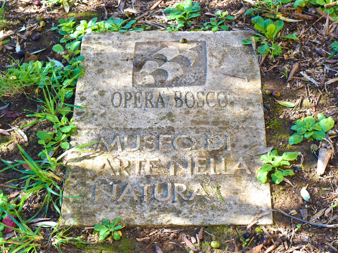 Opera Bosco - Museo di Arte nella Natura-Calcata必去景点