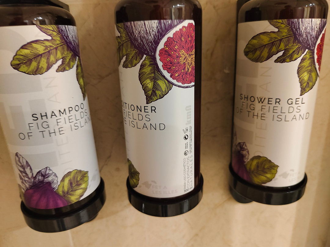 Grupotel Aguait Resort & Spa主图