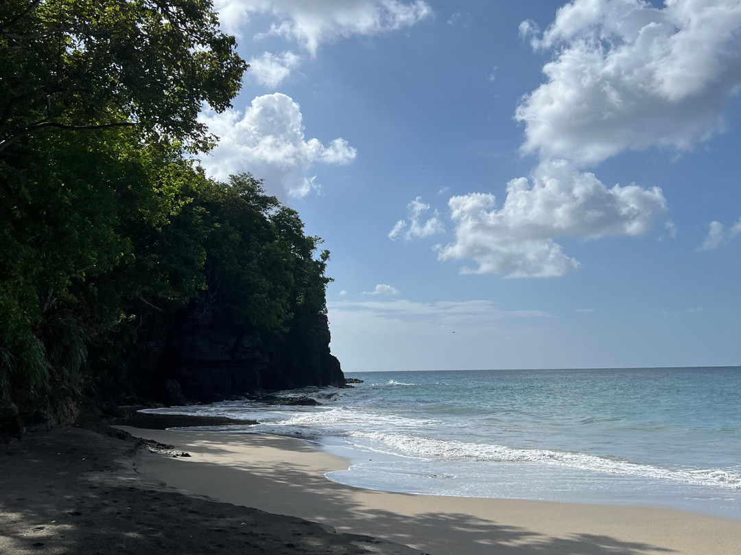 Nature Lovers Tours-Victoria必去景点