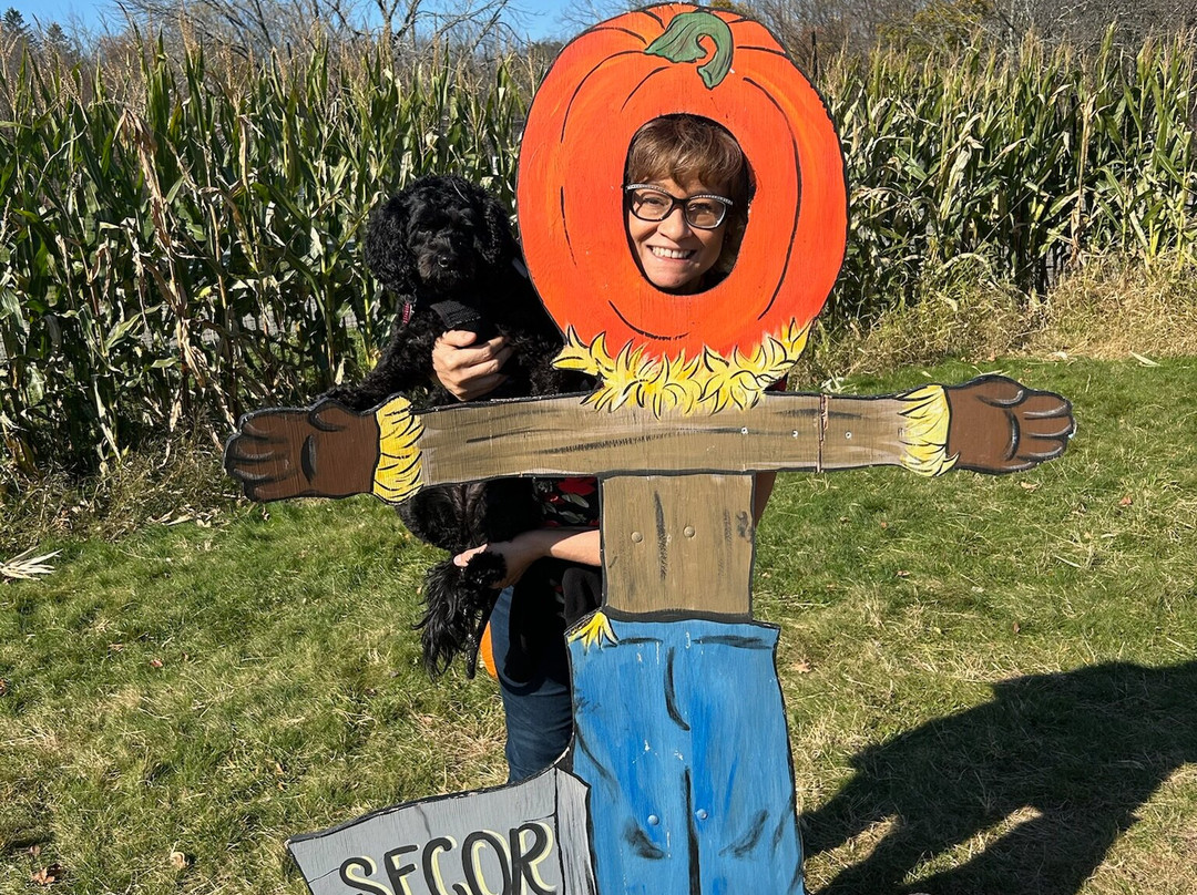 Secor Farms-莫沃必去景点