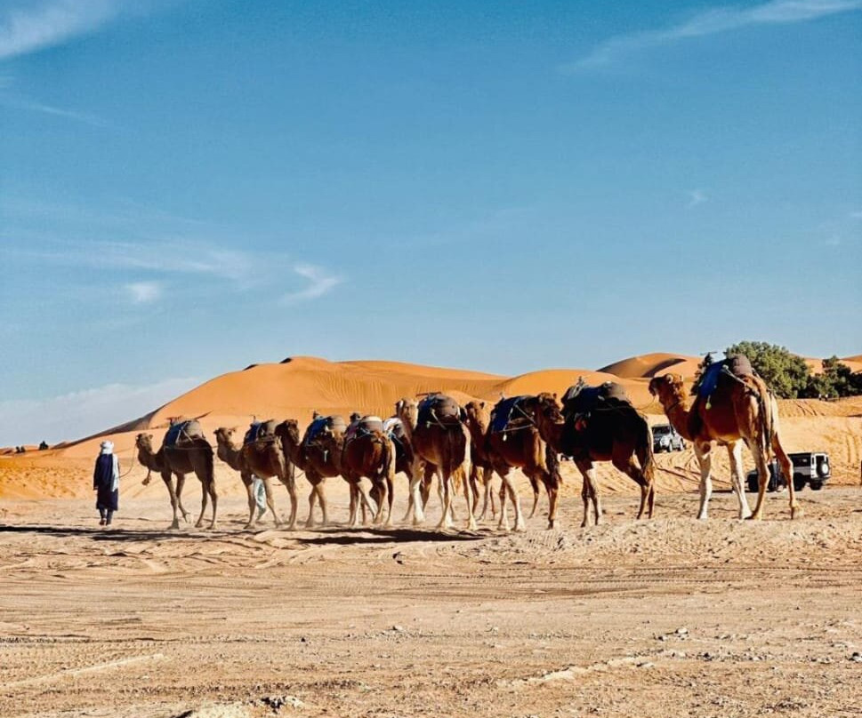 Morocco Tourism Packages-卡萨布兰卡必去景点