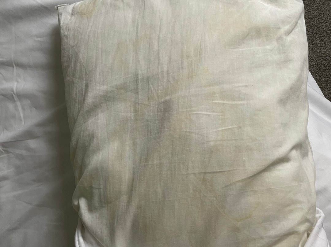 The Golden Lion Inn主图