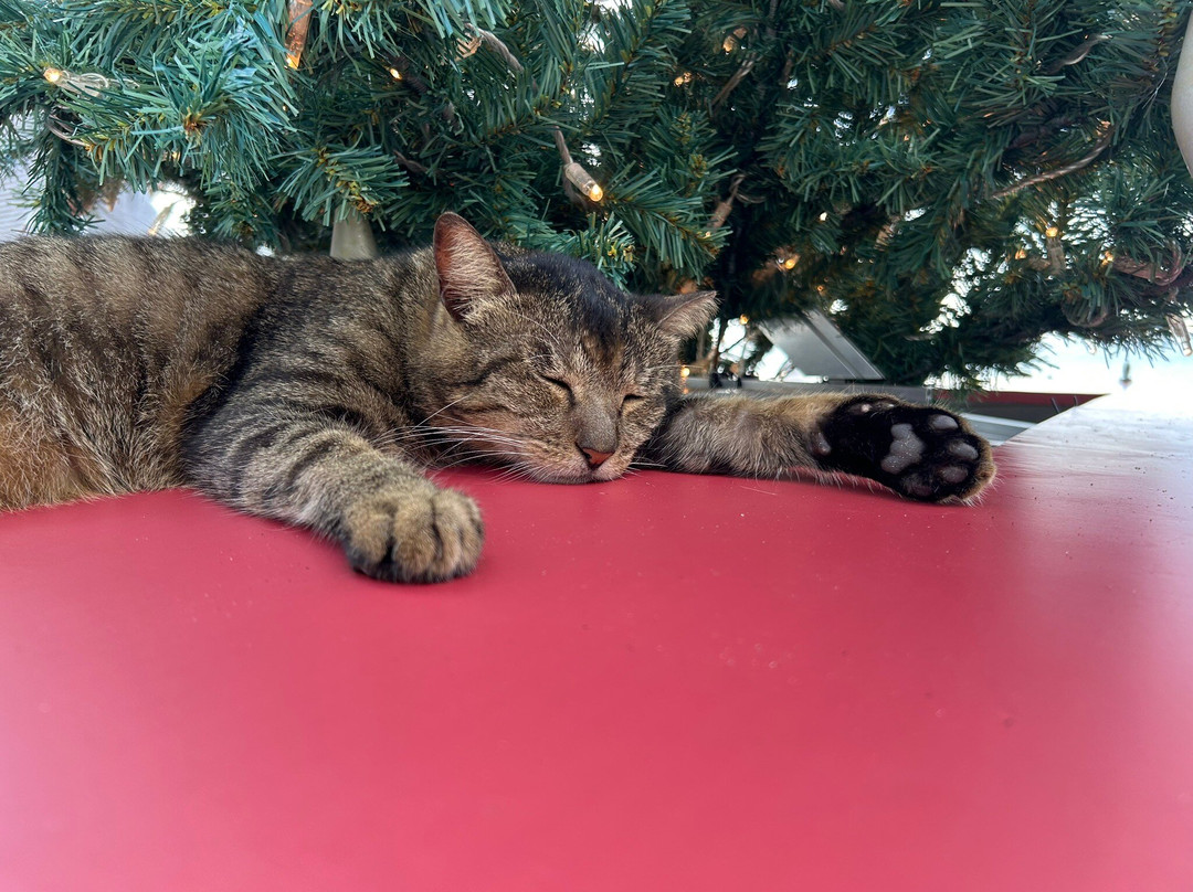 濑长岛-丰见城市必去景点