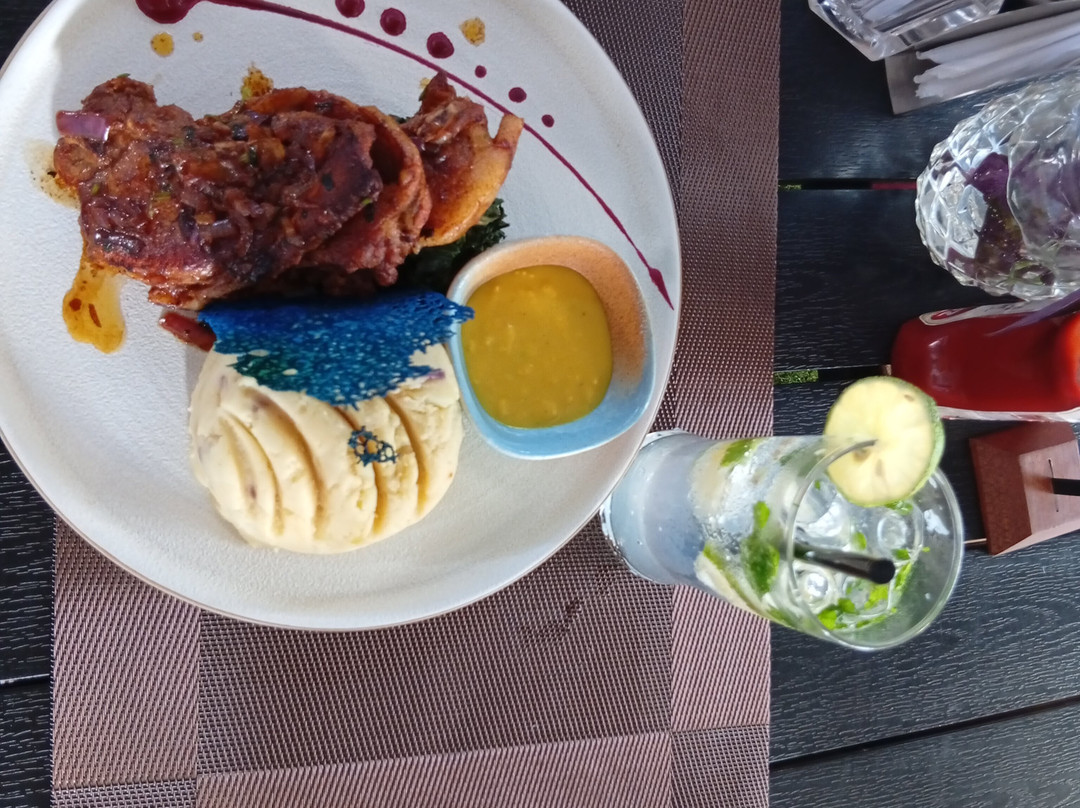 Nokras Silver Oak主图