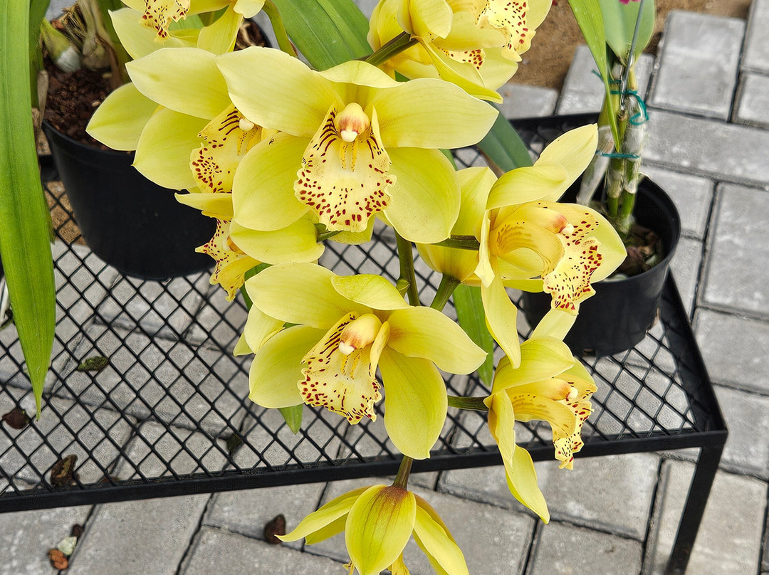 Alma del Bosque-La Ceja必去景点