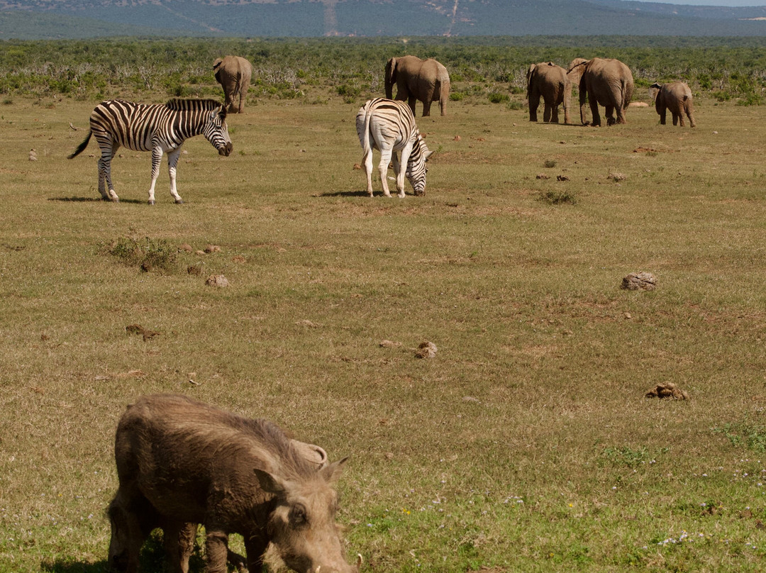 Rosedale Organic Farm B&B主图
