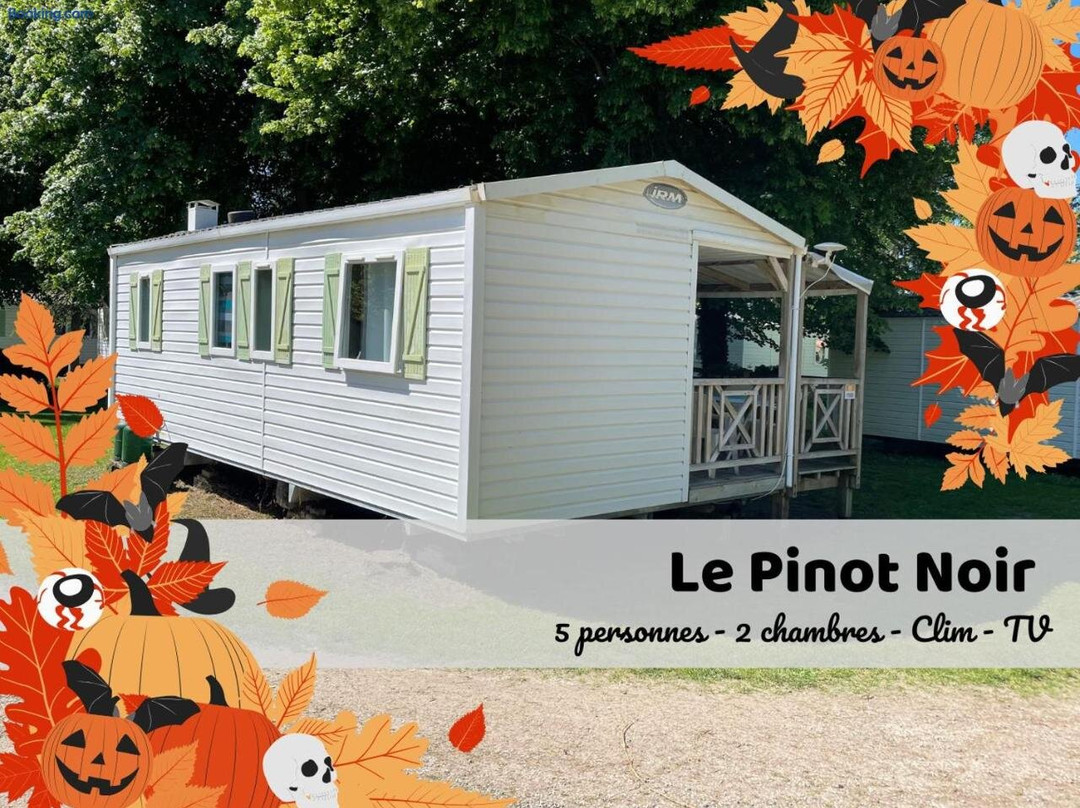 Les Pinots d'Alsace