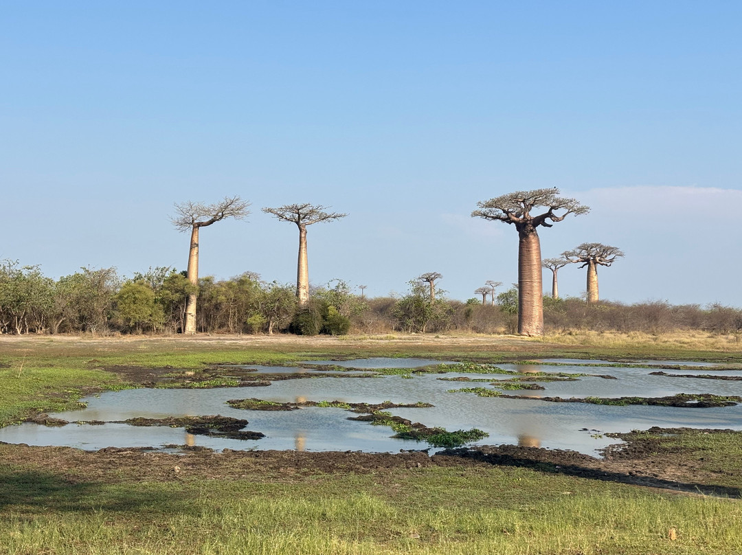 Theo Tours-安塔那那利佛必去景点