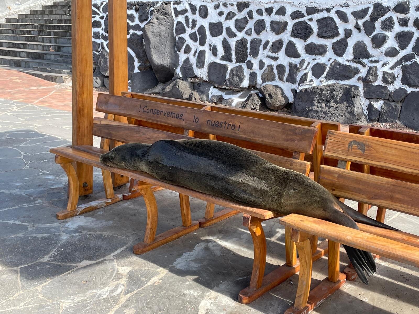 Hotel Indigo Galapagos by IHG-官方