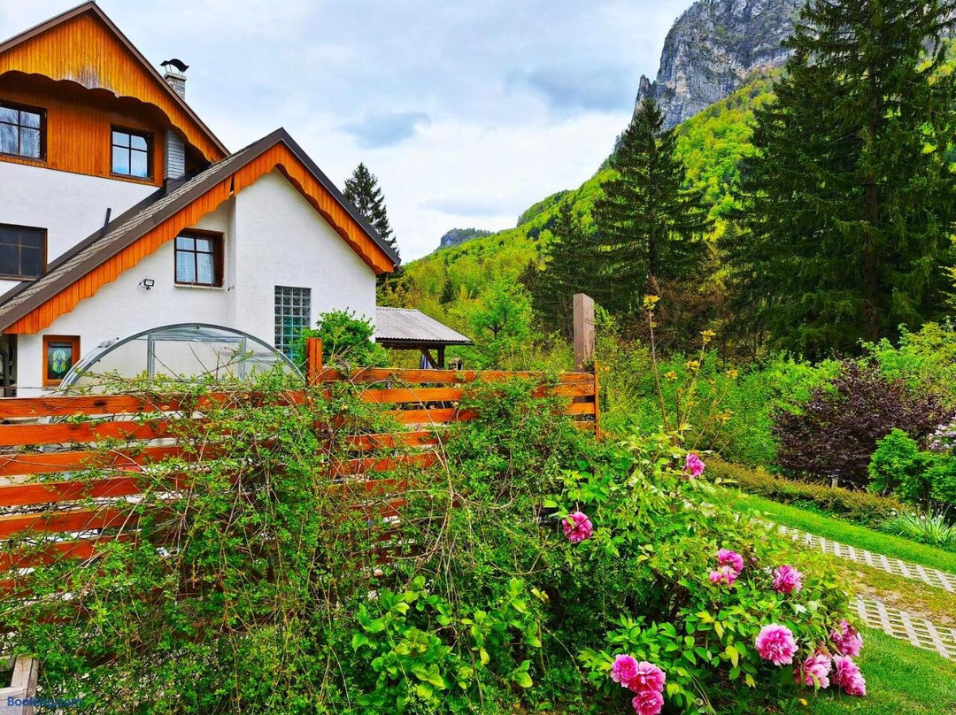 InGreen house