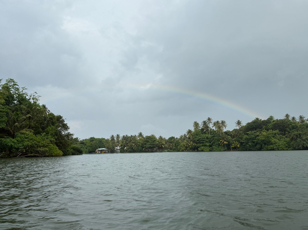 Hikkaduwa Lagoon Safari-Dodanduwa必去景点