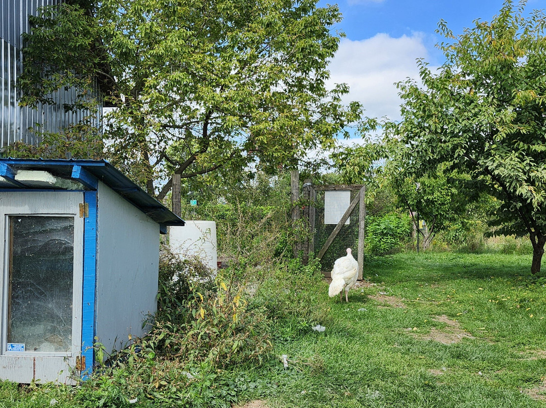 Les Couleurs De La Terre-Yamachiche必去景点