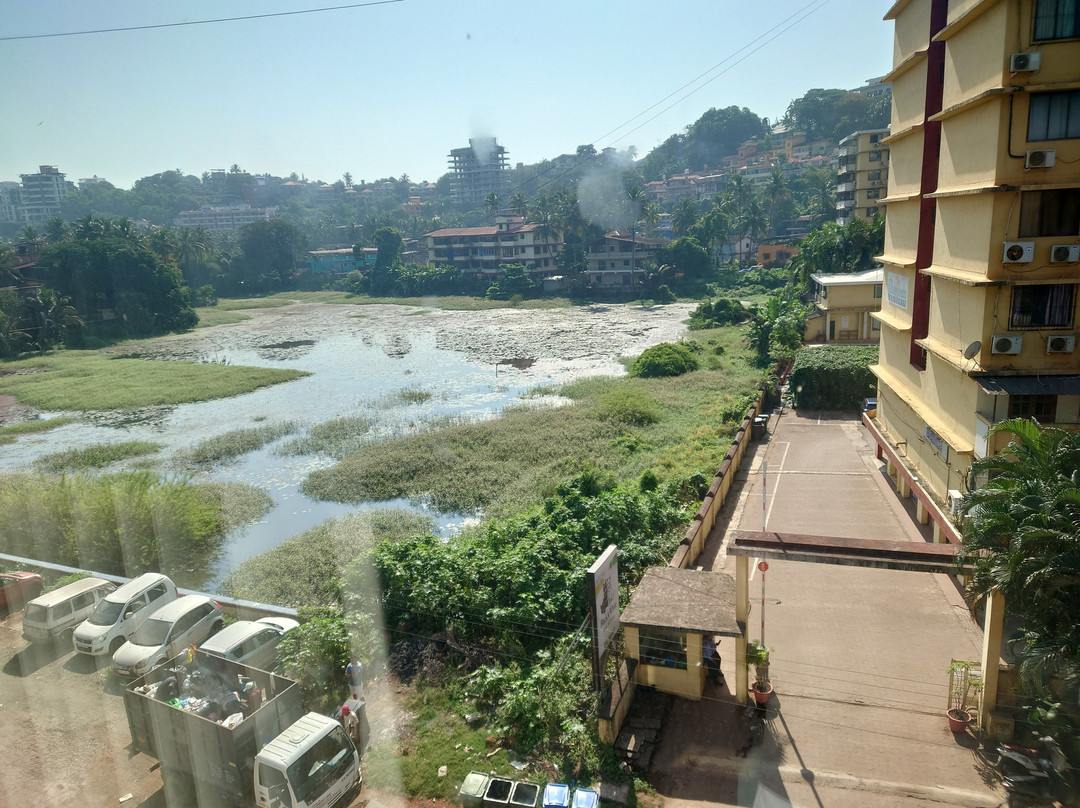 The Fern Residency, Miramar主图