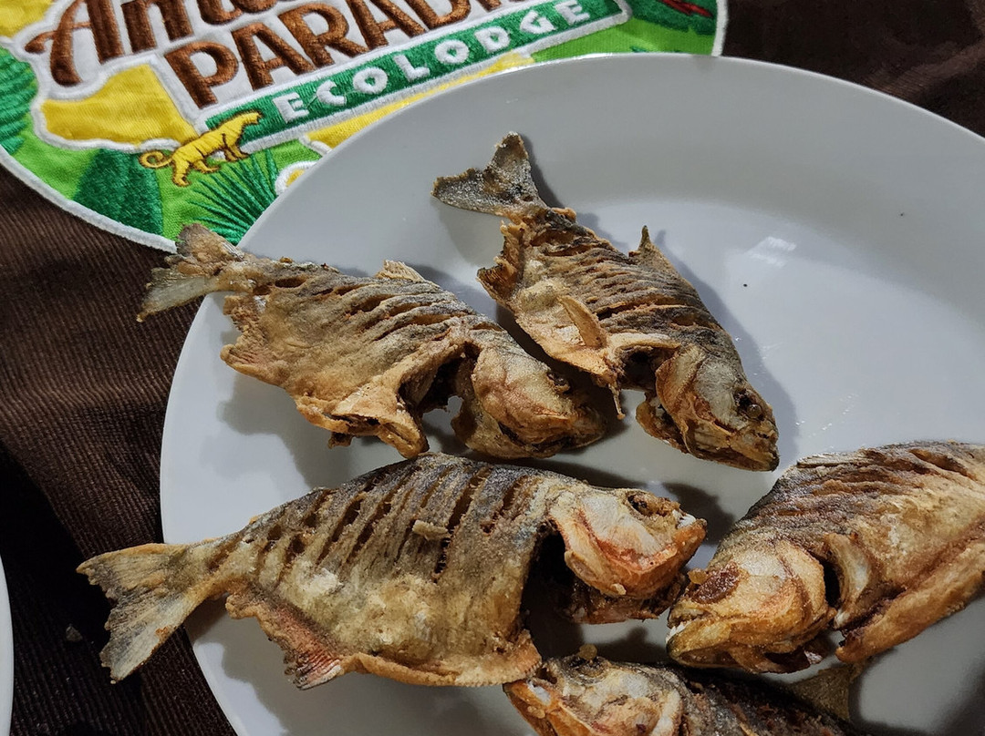 Amazonian Trails-伊基托斯必去景点