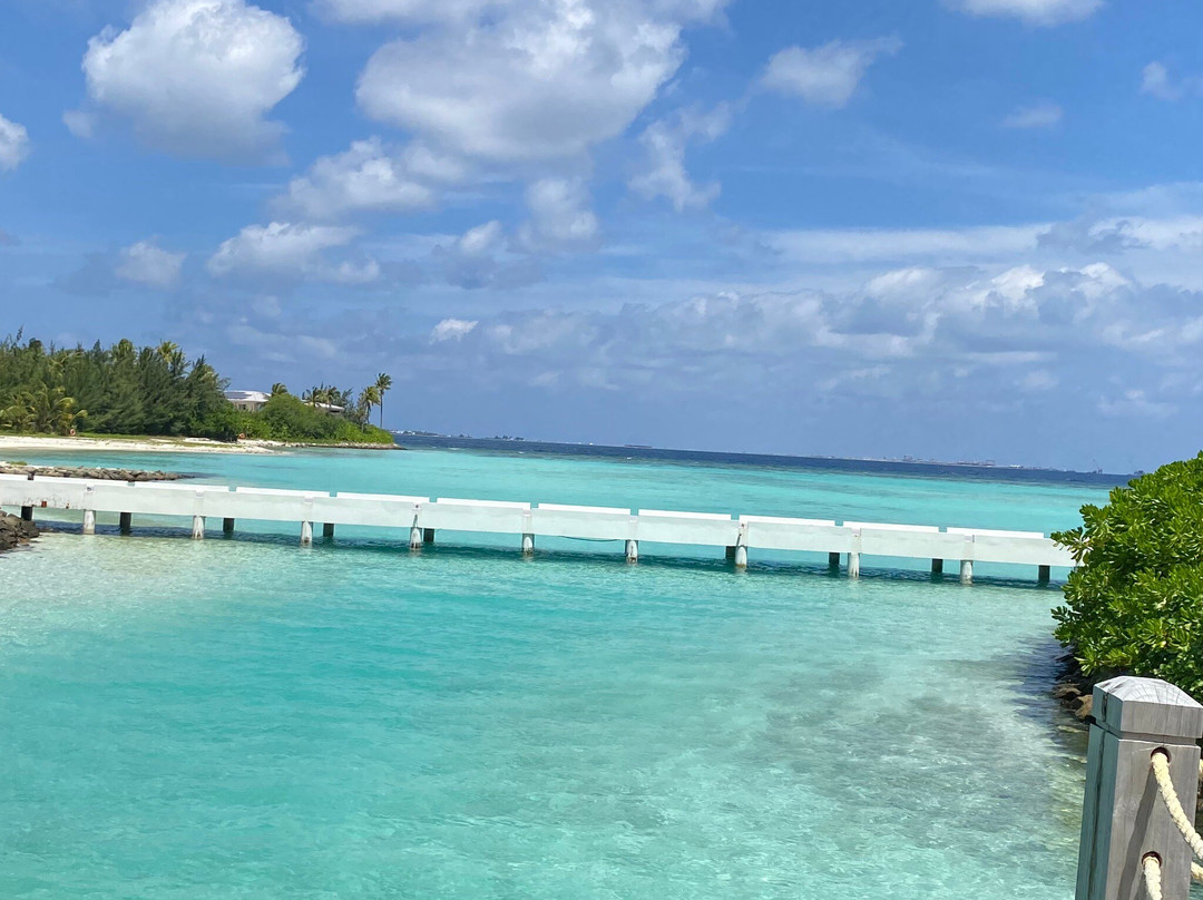The Marina @ CROSSROADS Maldives-马累必去景点