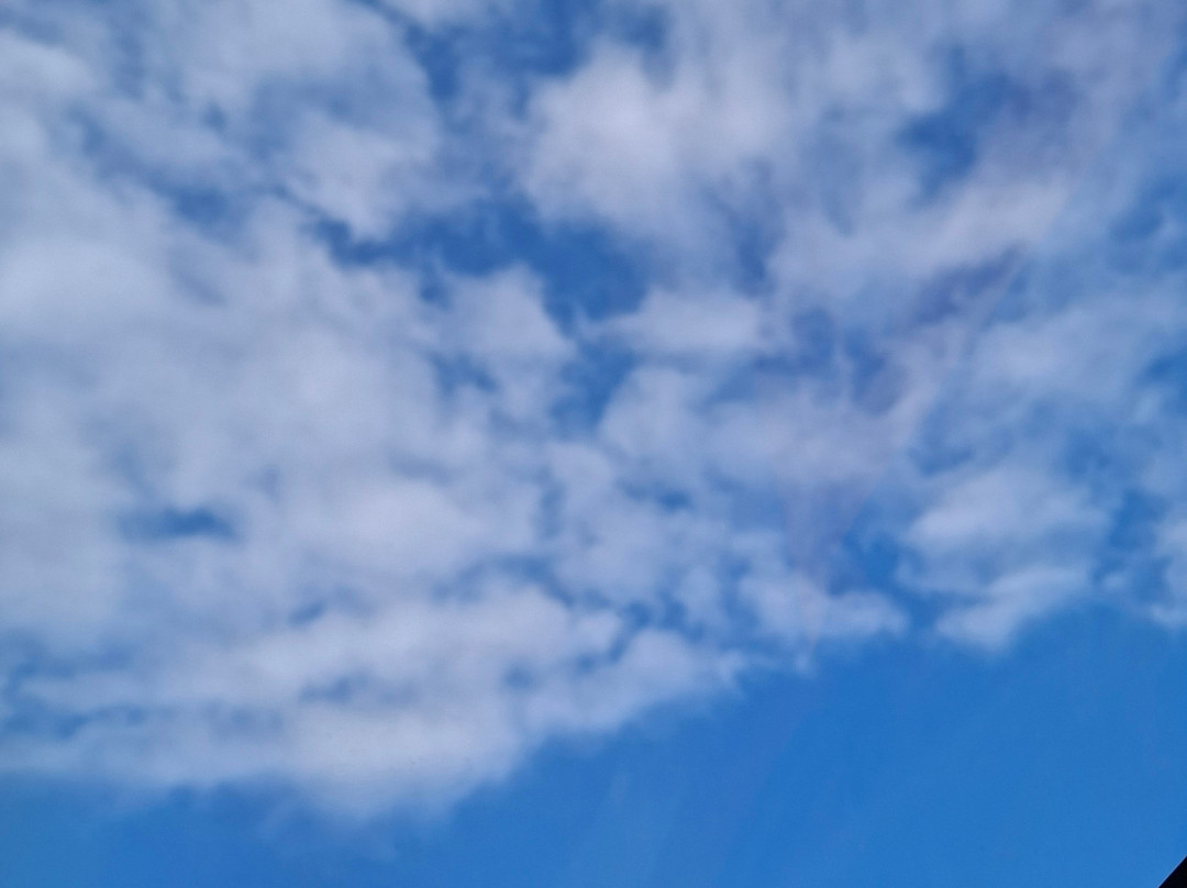 Tous En Vol-Charnay-les-Macon必去景点