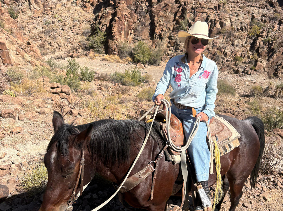 Big Bend & Lajitas Stables-Terlingua必去景点