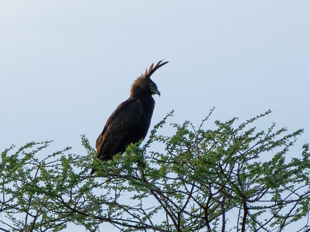 African Trails Expeditions-内罗毕必去景点