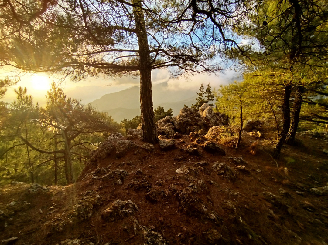 Guesthouse Alonia主图