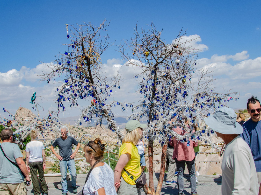 Evil Eye Tree-乌奇萨必去景点