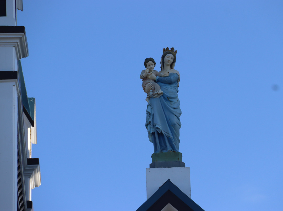Immaculate Conception Cathedral-阿皮亚必去景点