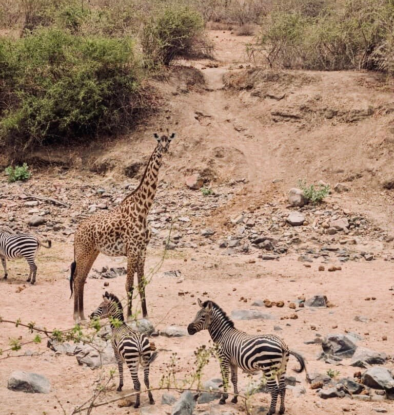 Mukuta Travels & Tours-Iringa必去景点