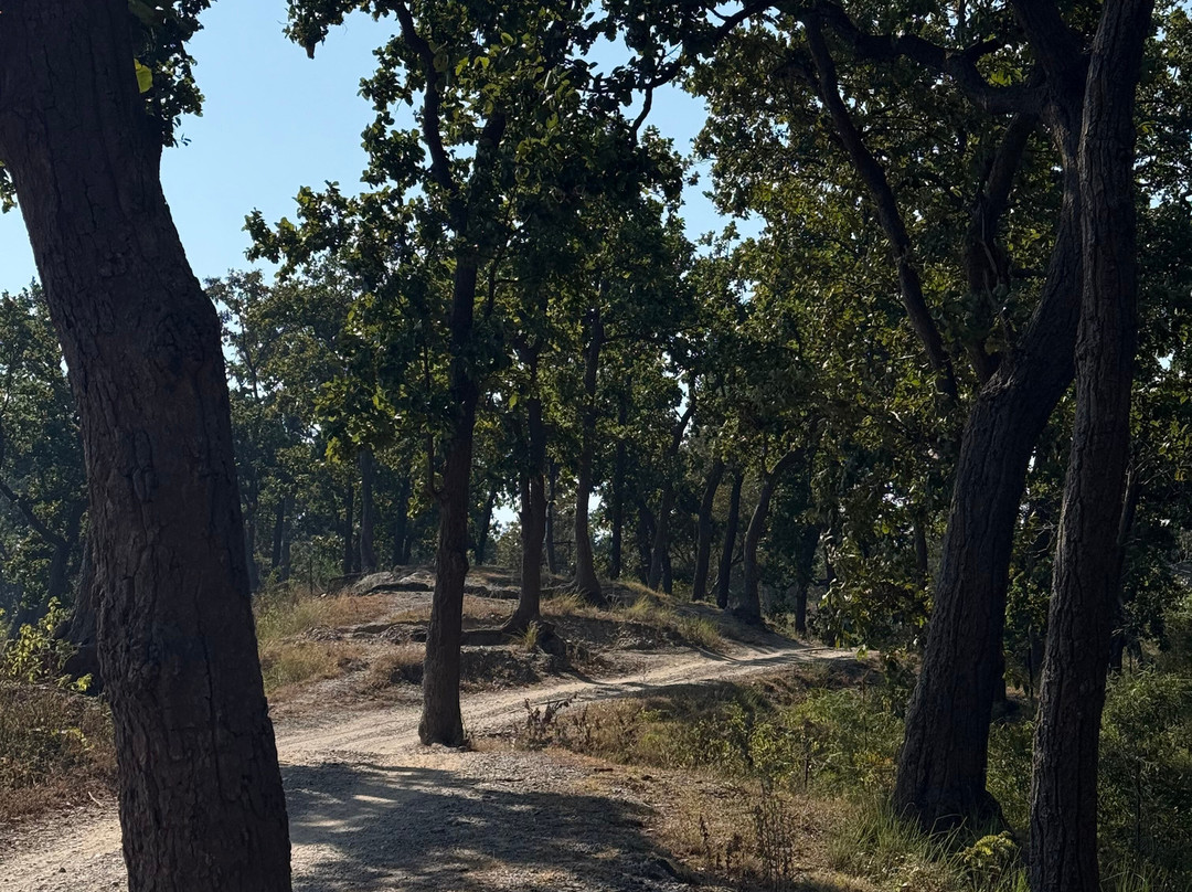 Rishikesh Day Tour-里希克虚必去景点