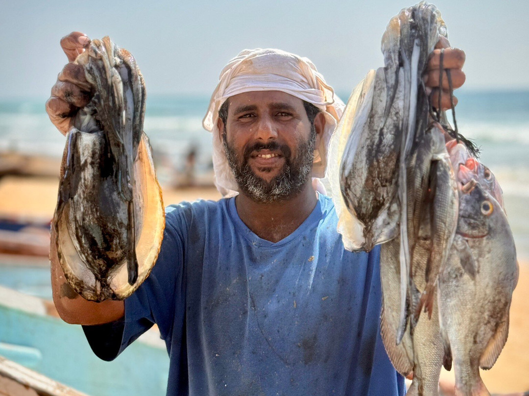 CARAVAN TOURS-希巴姆必去景点