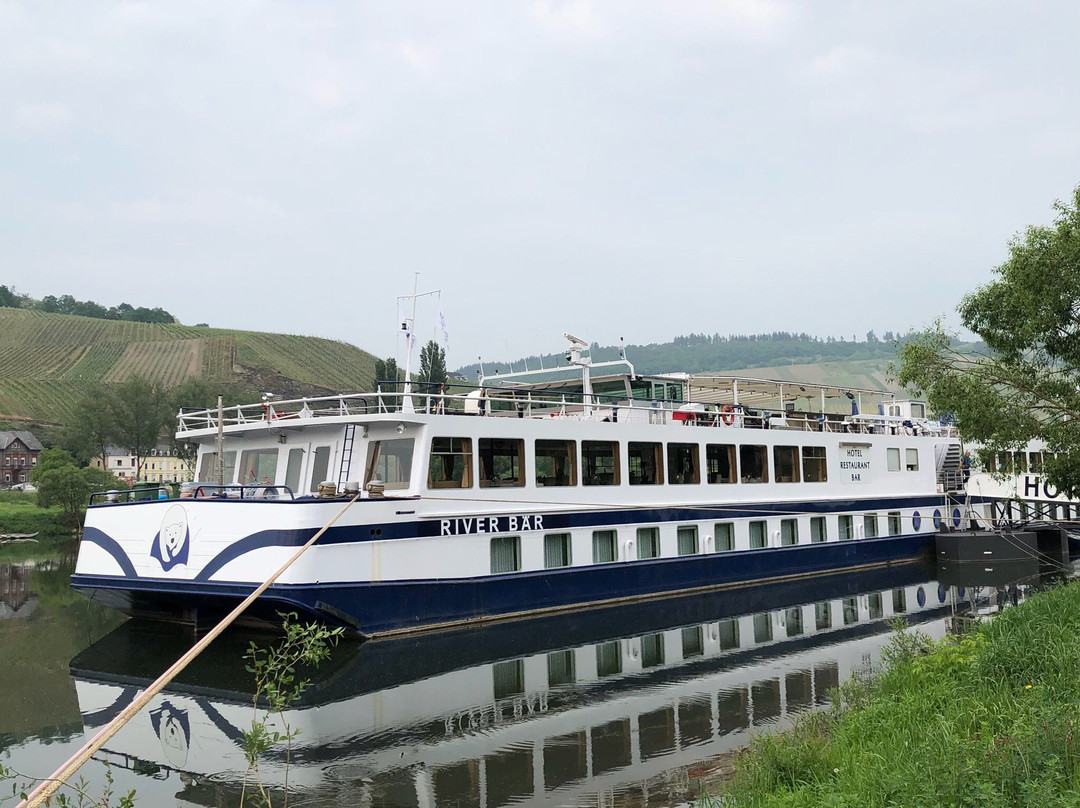 Wellness & Genuss Hotel Weisser Bär主图