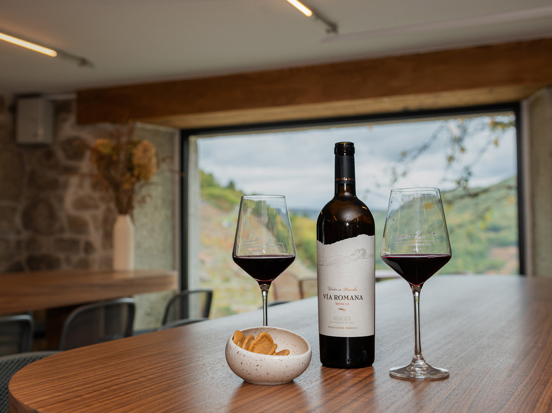 Via Romana Adegas e Vinedos-Chantada必去景点