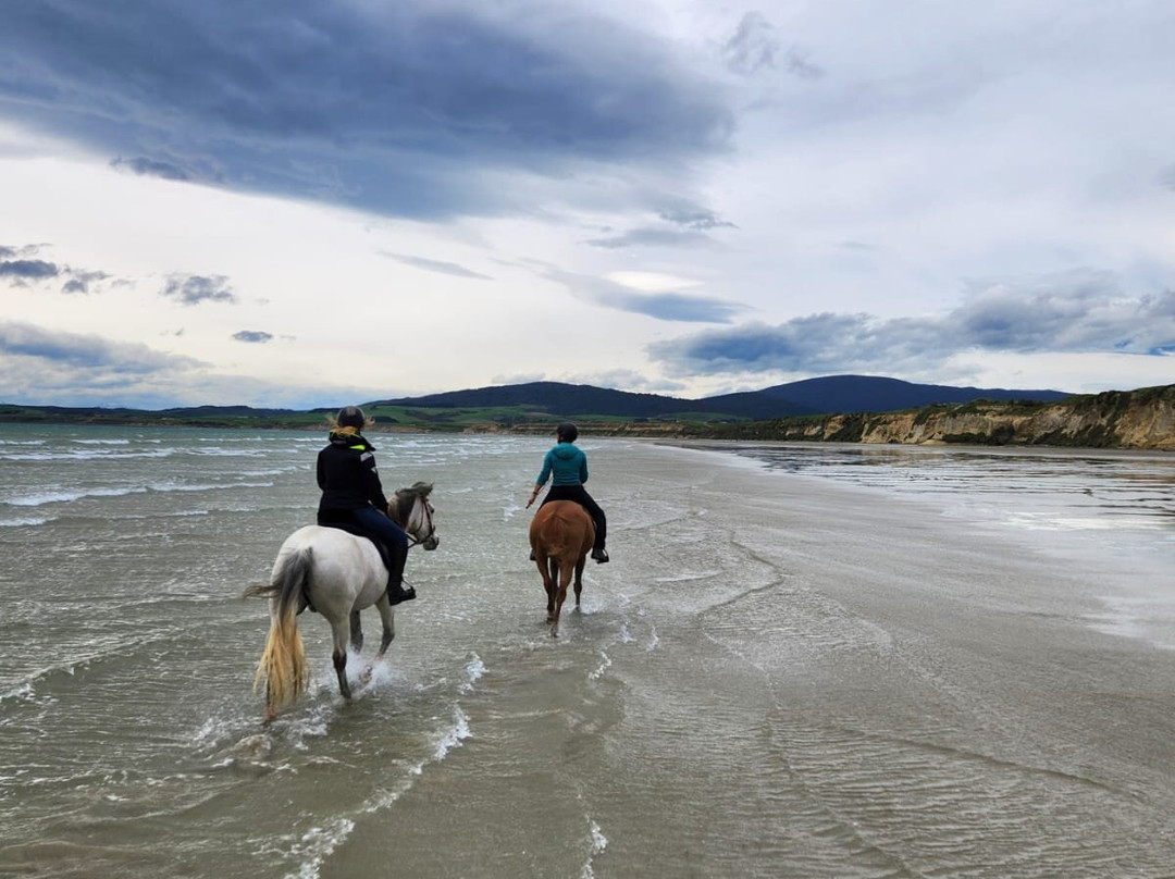 Orepuki Horse Treks-奥雷普基必去景点
