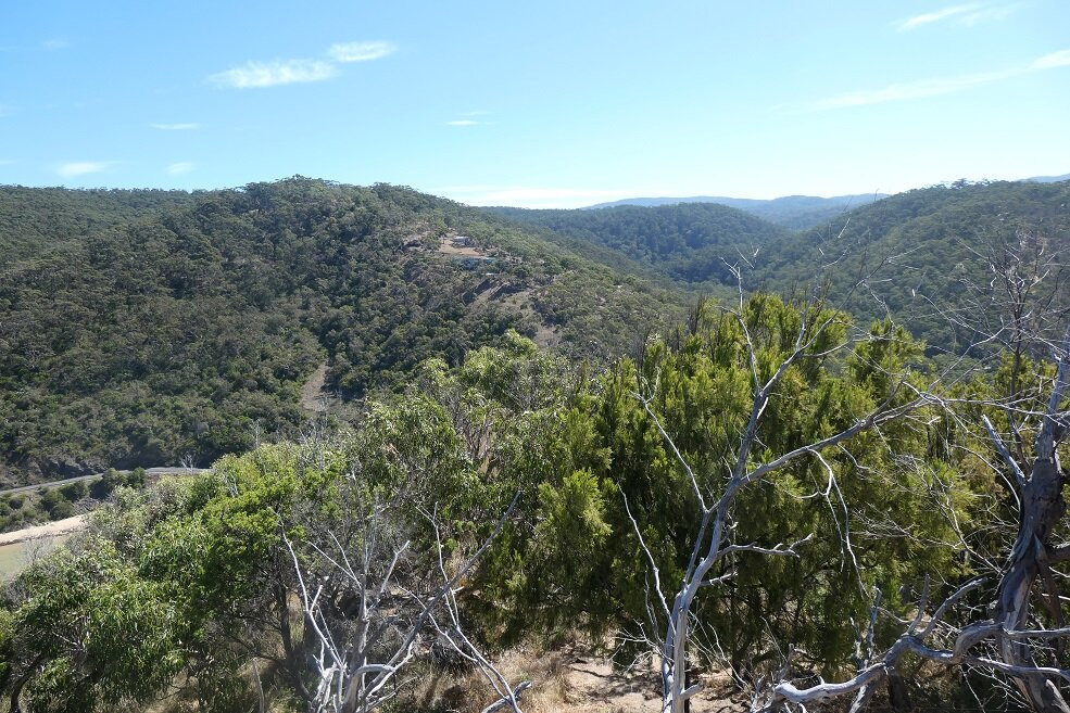 Teddy's Lookout-洛恩必去景点
