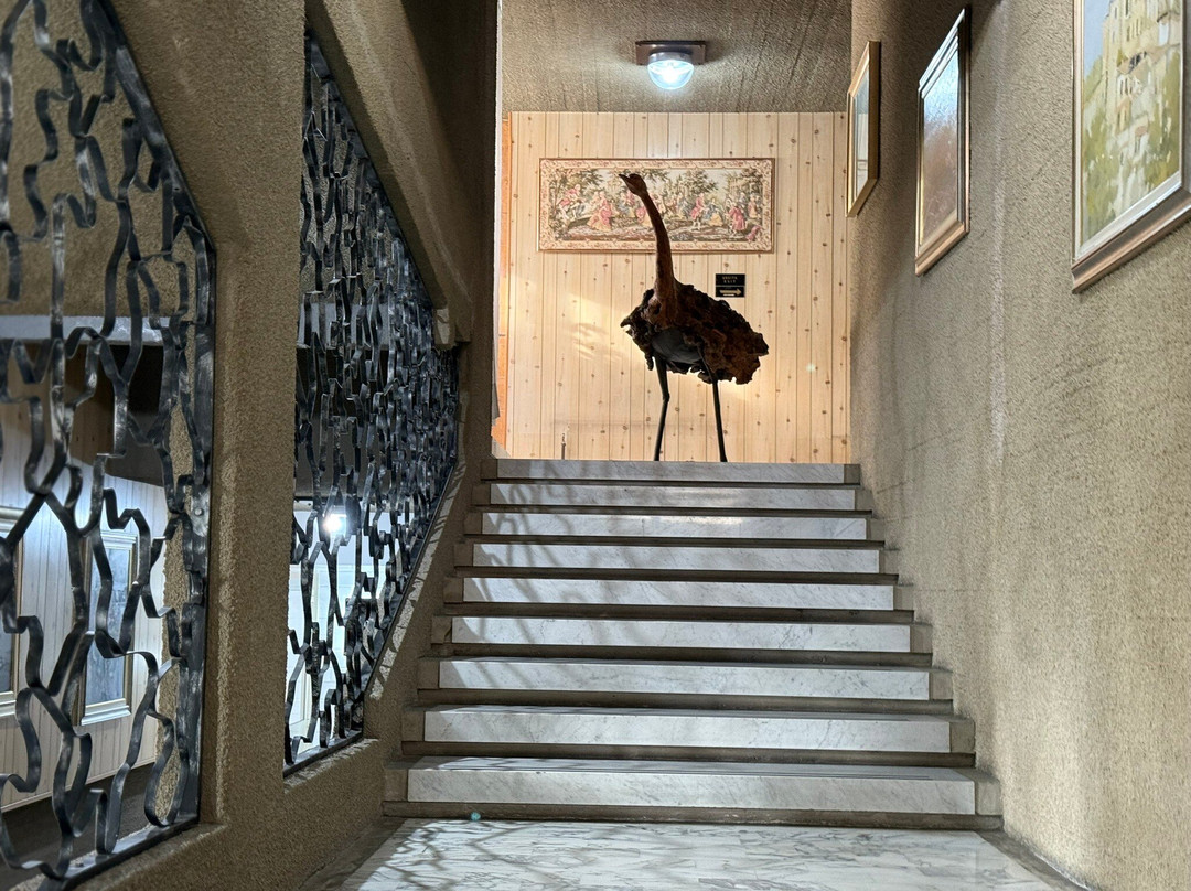 Hotel Costellazioni主图