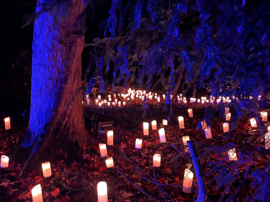 纽塞姆寺庙-利兹必去景点