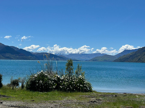 Mondumo Tours-奥克兰必去景点
