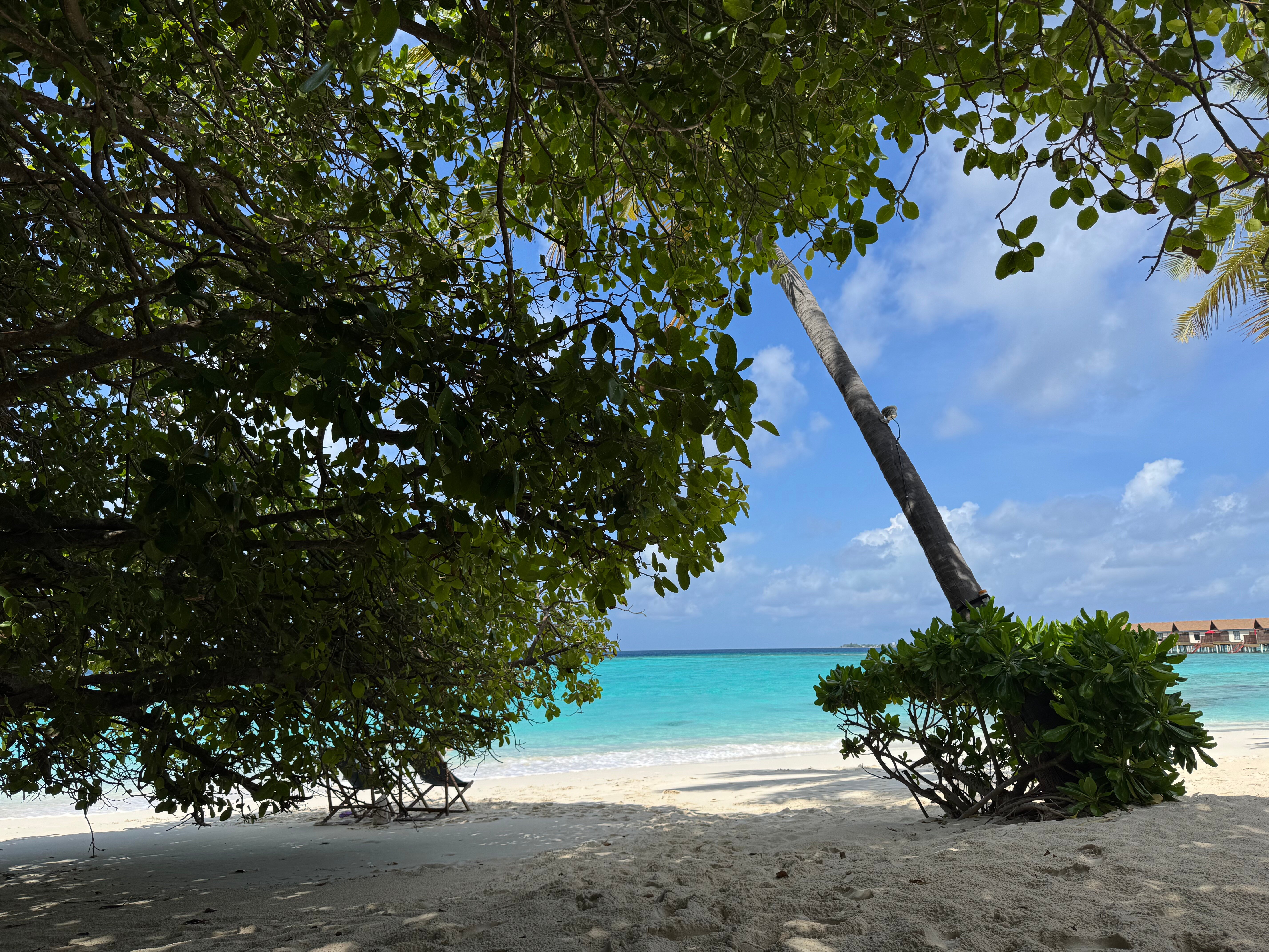 Reethi Faru Resort-泳池