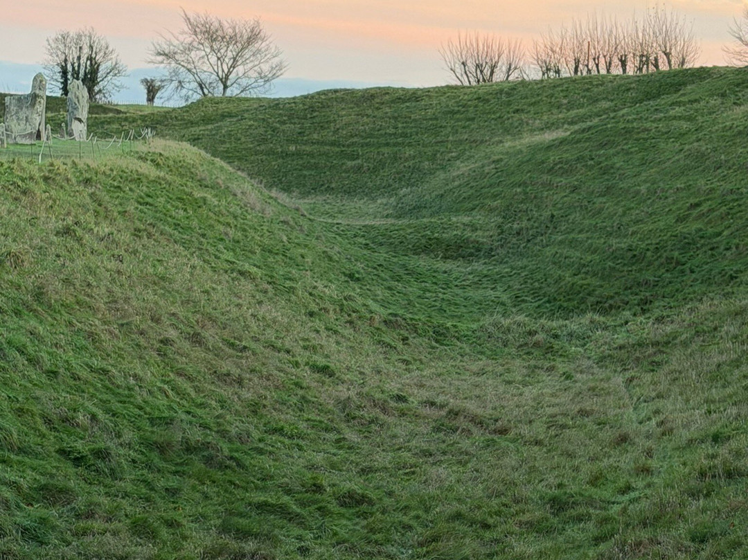 Dorwyn Manor B&B主图