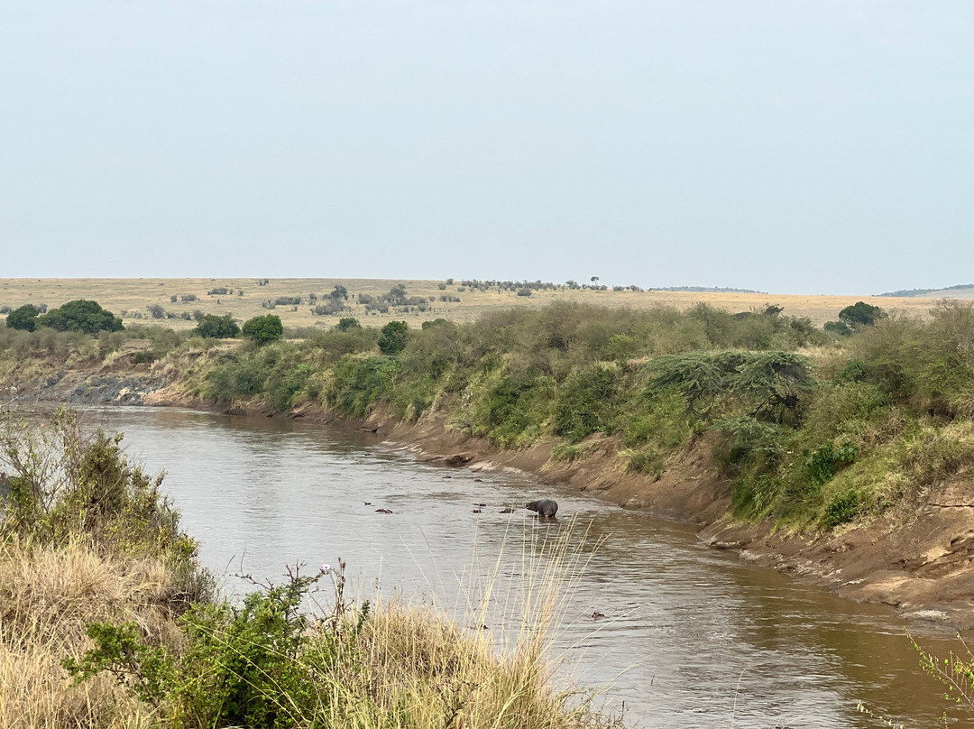 La Toupie Voyageuse-里昂必去景点