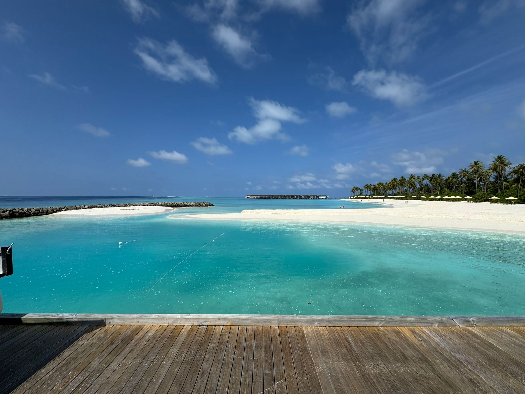 Avani+ Fares Maldives Resort-泳池