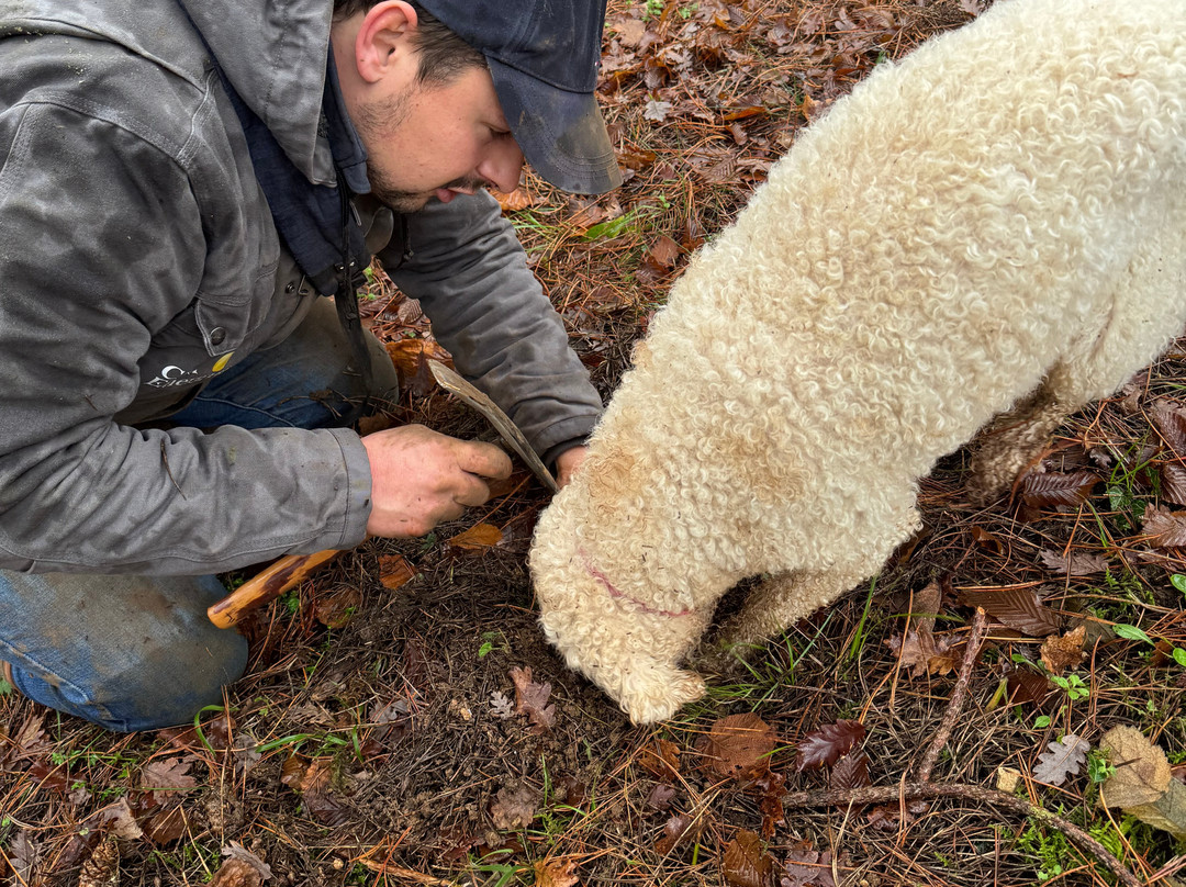 Domaine de la Combotte主图