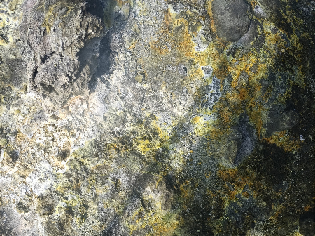 EtNative - Escursioni Guidate sull'Etna-Mascalucia必去景点