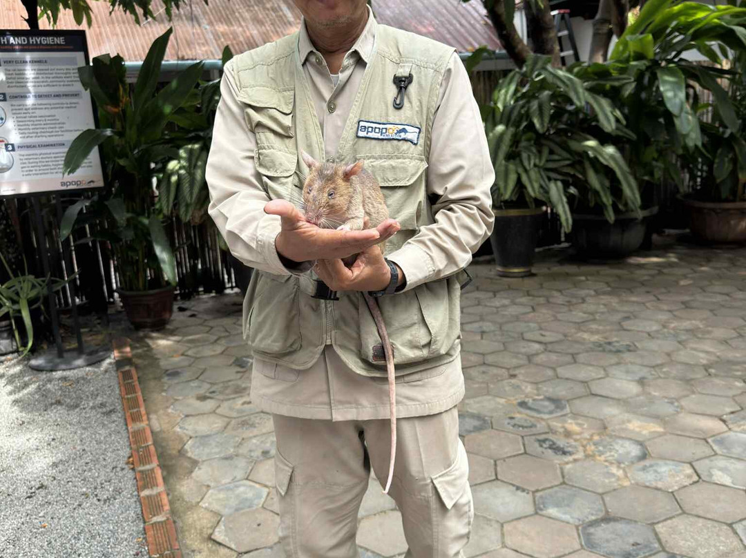 Angkor Vision Tour-暹粒必去景点