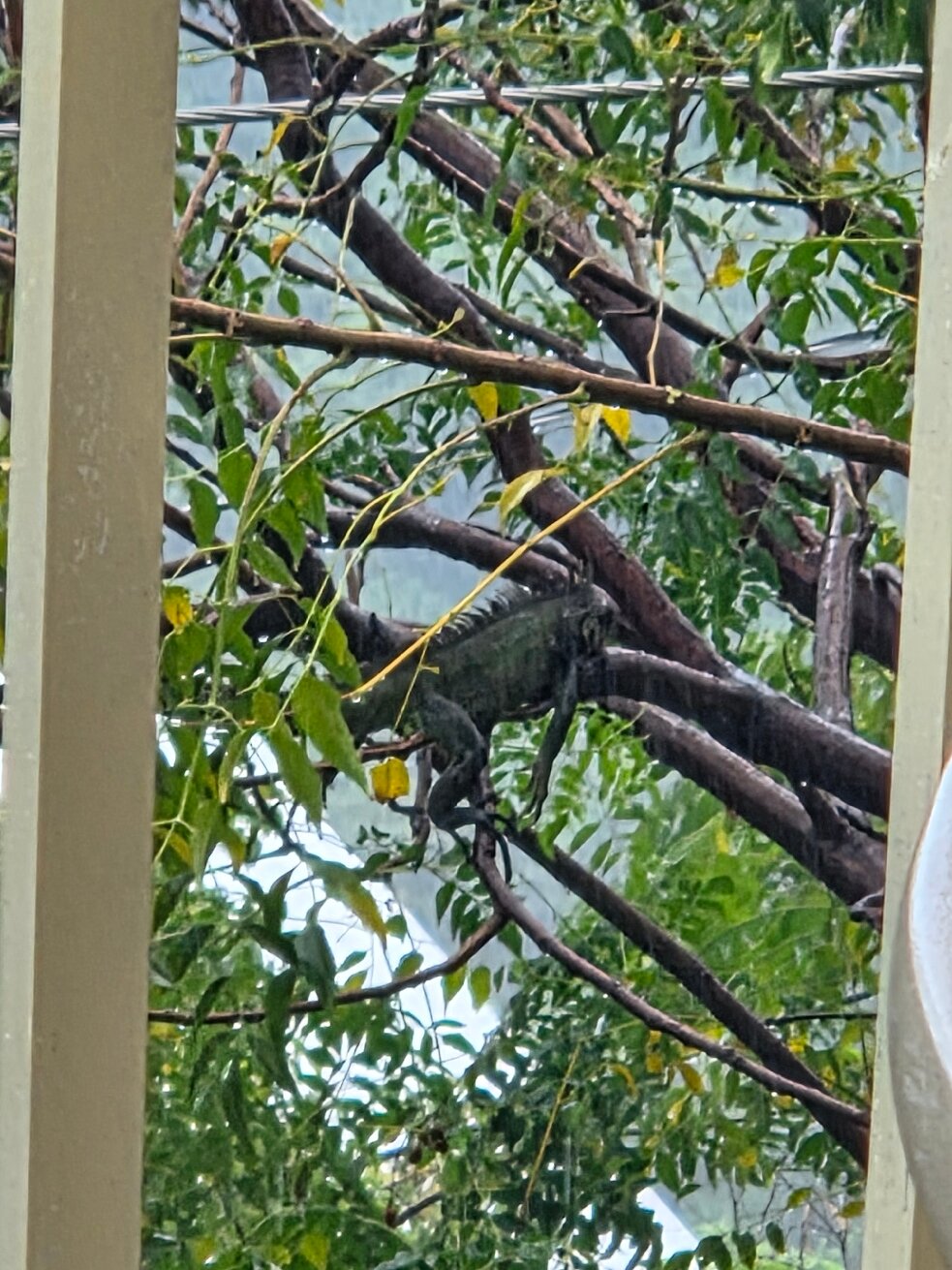 Island View Guesthouse-官方