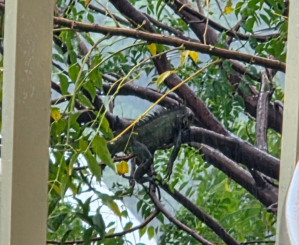 Island View Guesthouse主图