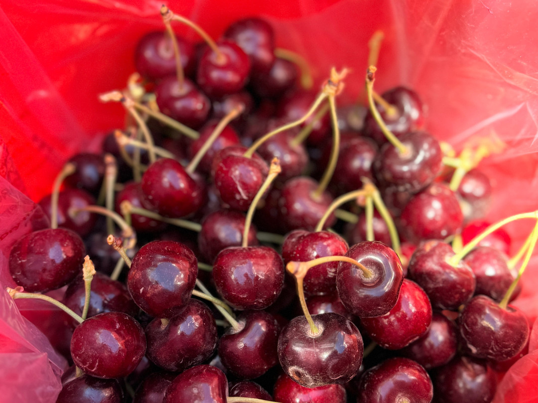 Cherryhill Orchards Coldstream-科尔德斯特里姆必去景点