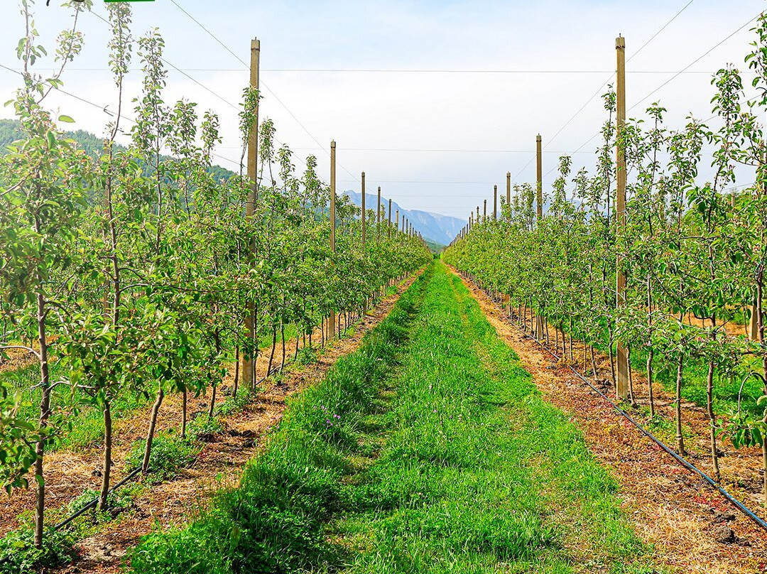 Kend Inn-Quba必去景点