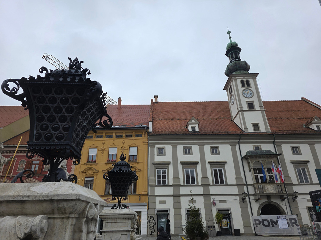 Main Square of Maribor-马里博尔必去景点