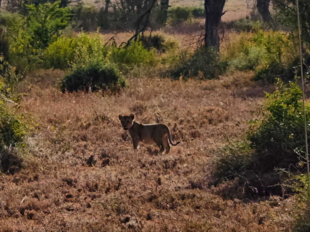 OSOTUA TENTED CAMPS-Ikoma必去景点